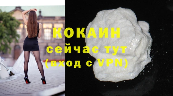 винт Абаза