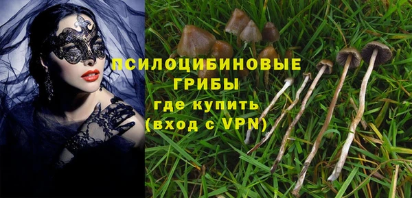 винт Абаза