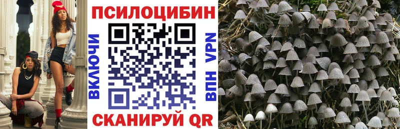 Галлюциногенные грибы MAGIC MUSHROOMS  Шахунья 